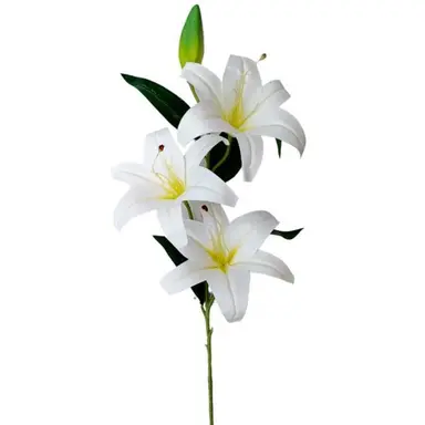 Profile image of 세인트릴리