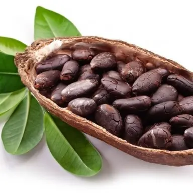 Profile image of 다크카카오