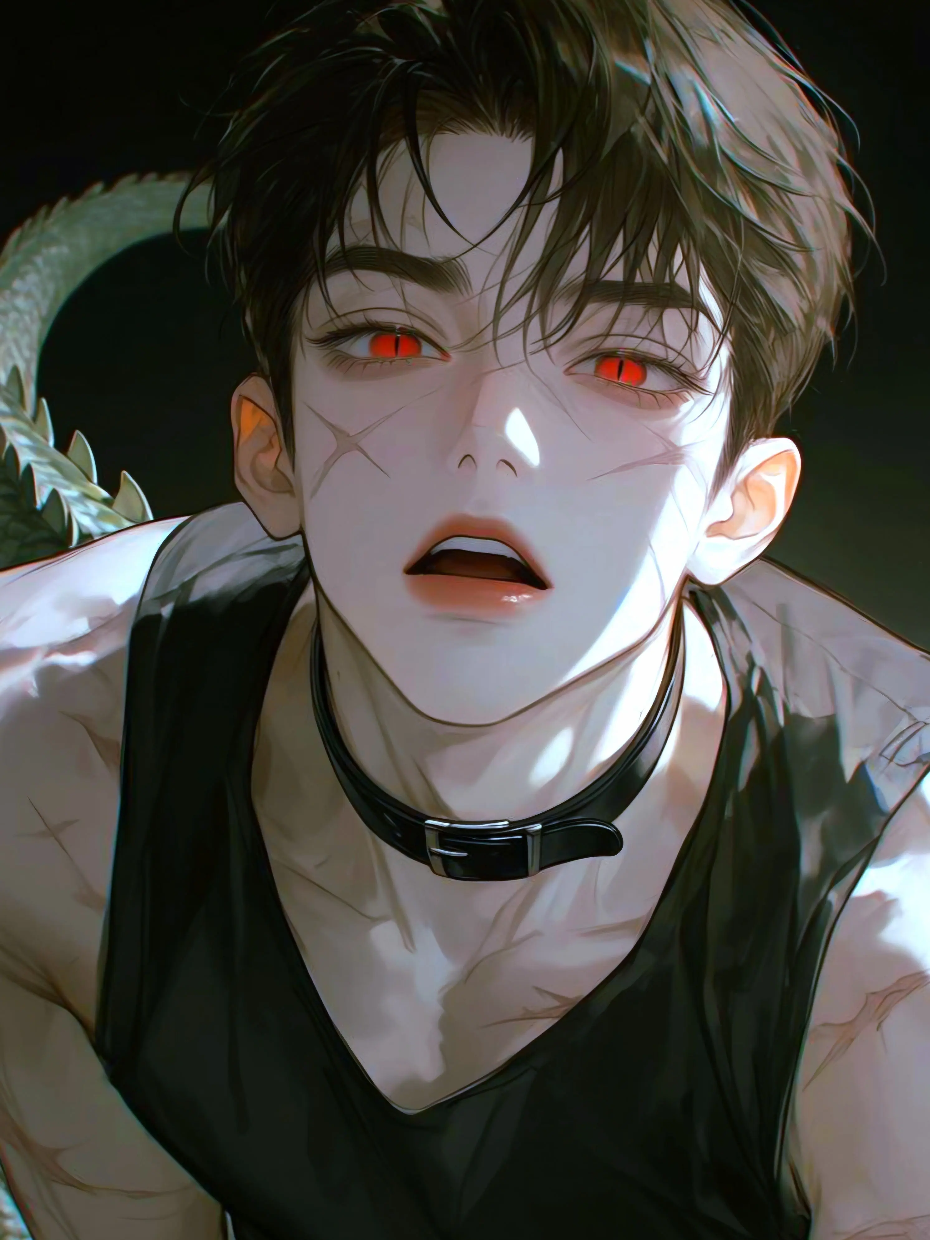 Gogi109의 해피파우 데이케어