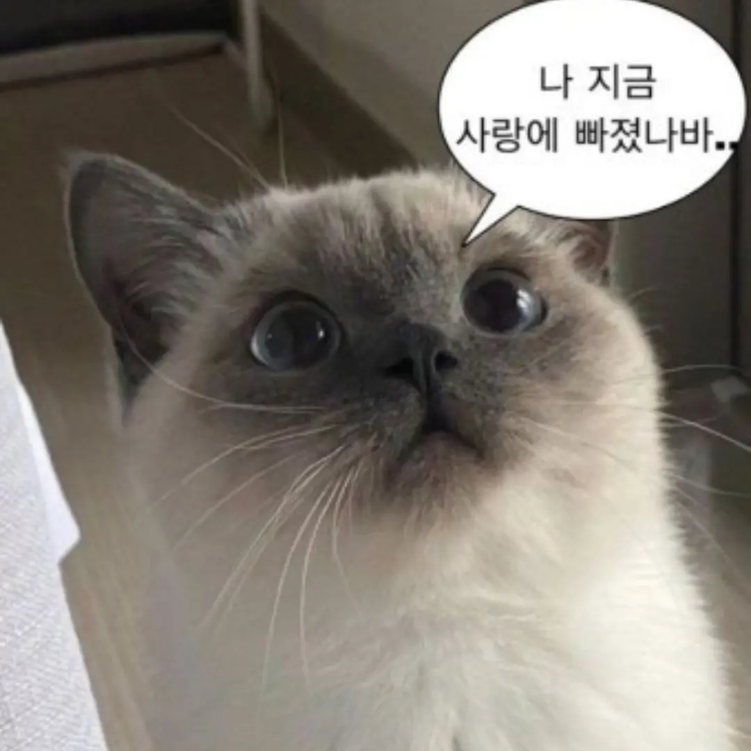ThinPuli9334의 팀나빠 중학교
