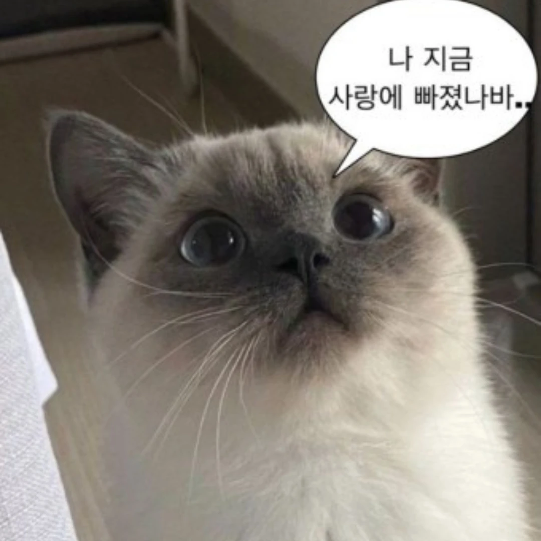 팀나빠 중학교