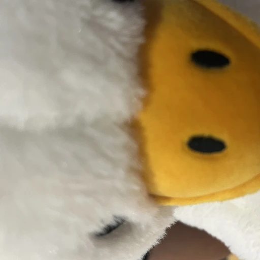 박찬현