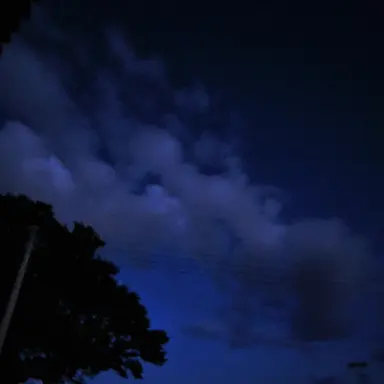 Profile image of ...