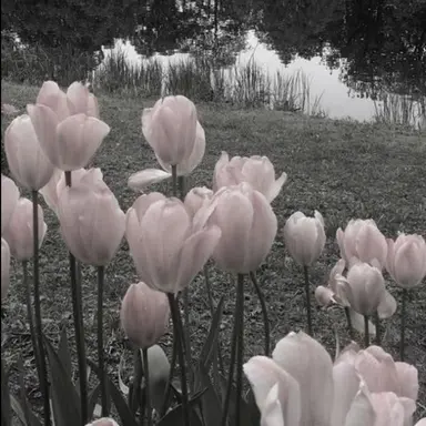 Profile image of 운터