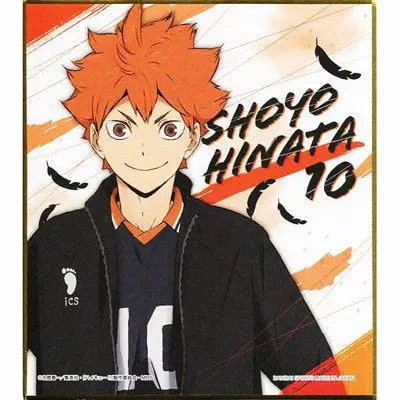 AlienAlert4396의 하이큐!!