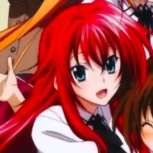 SneakyRice5180의 High School DXD