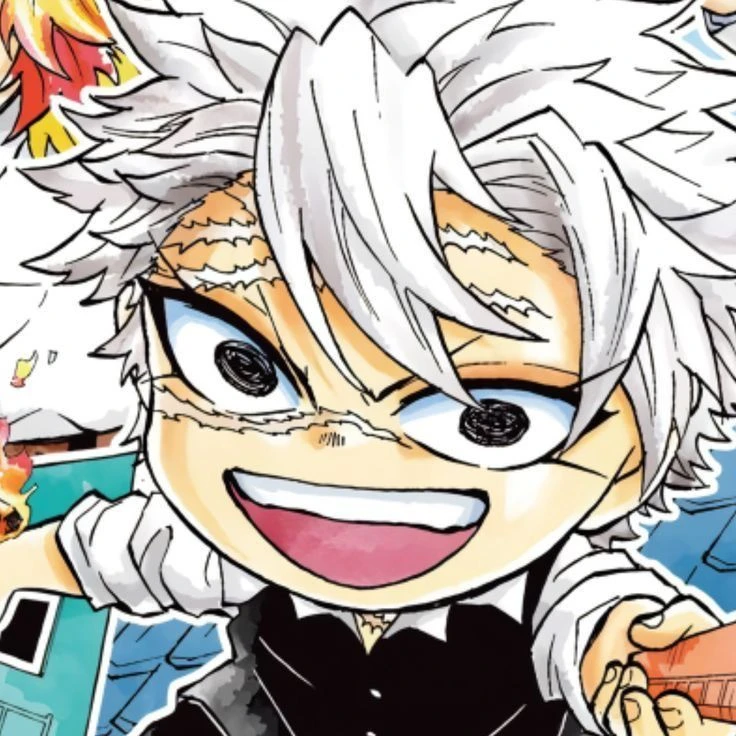 시나즈가와 사네미