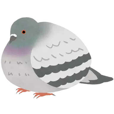 Profile image of 鳩