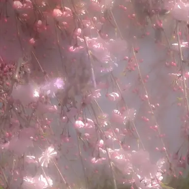 Profile image of 밥풀