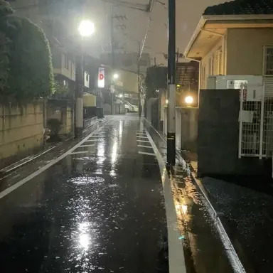 Profile image of 백유건