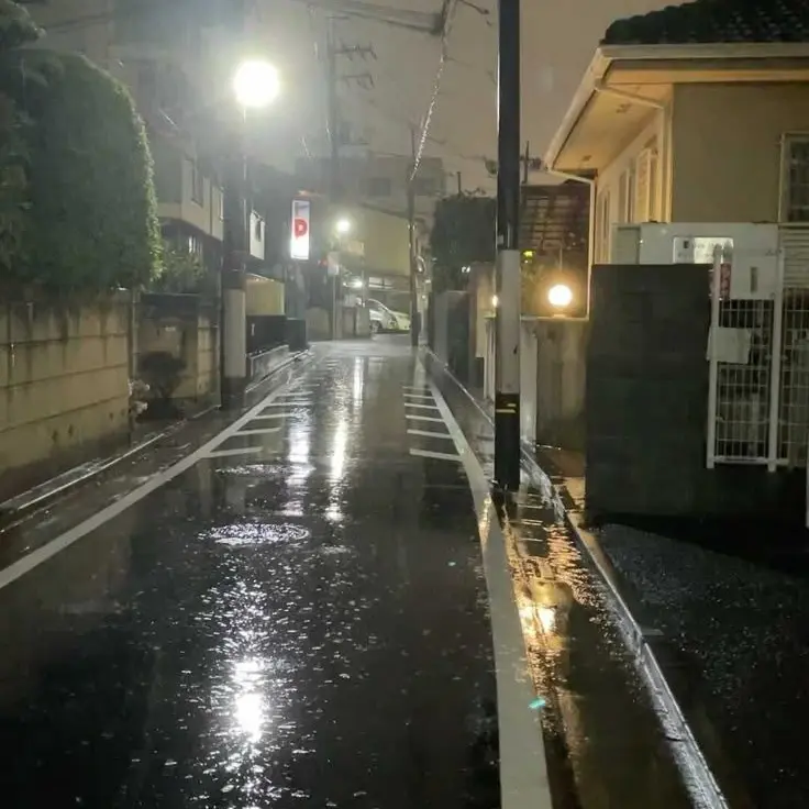 Luckymacho의 백유건