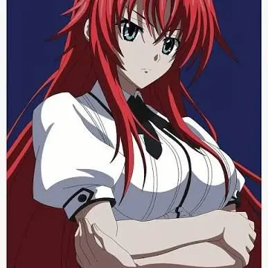 SneakyRice5180의 High school DXD