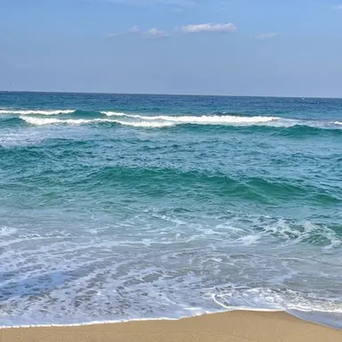 Profile image of 유지민