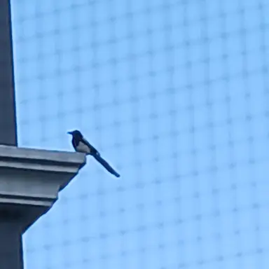 Profile image of 고고프렌즈 학교