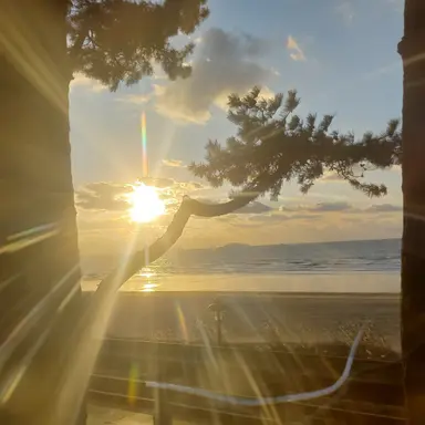 Profile image of 덕개