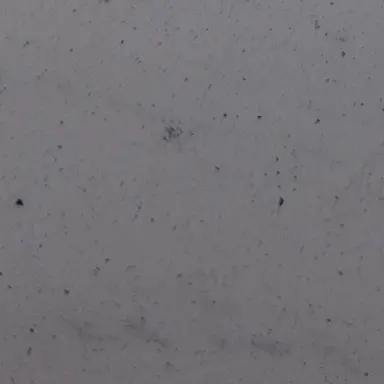 Profile image of 잠뜰