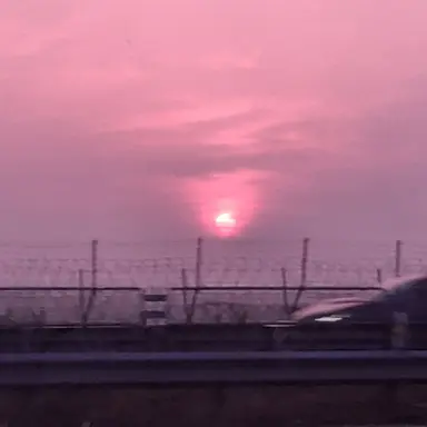 Profile image of 공룡