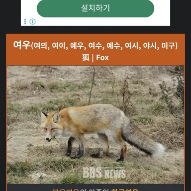 Profile image of 여우