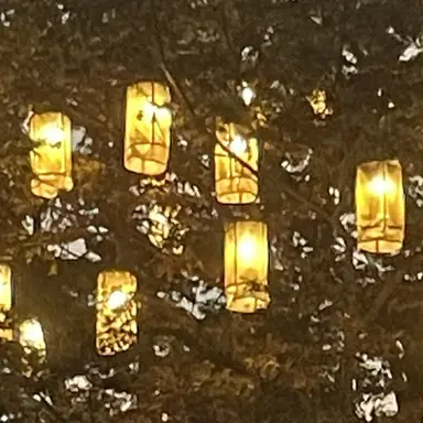 Profile image of 퓨어바닐라 쿠키