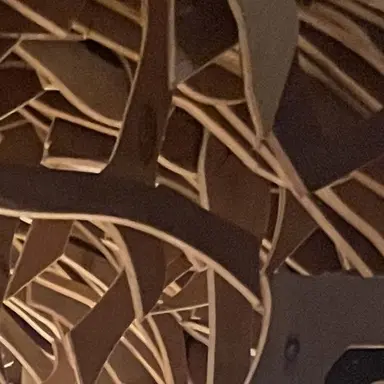 Profile image of 용감한 쿠키