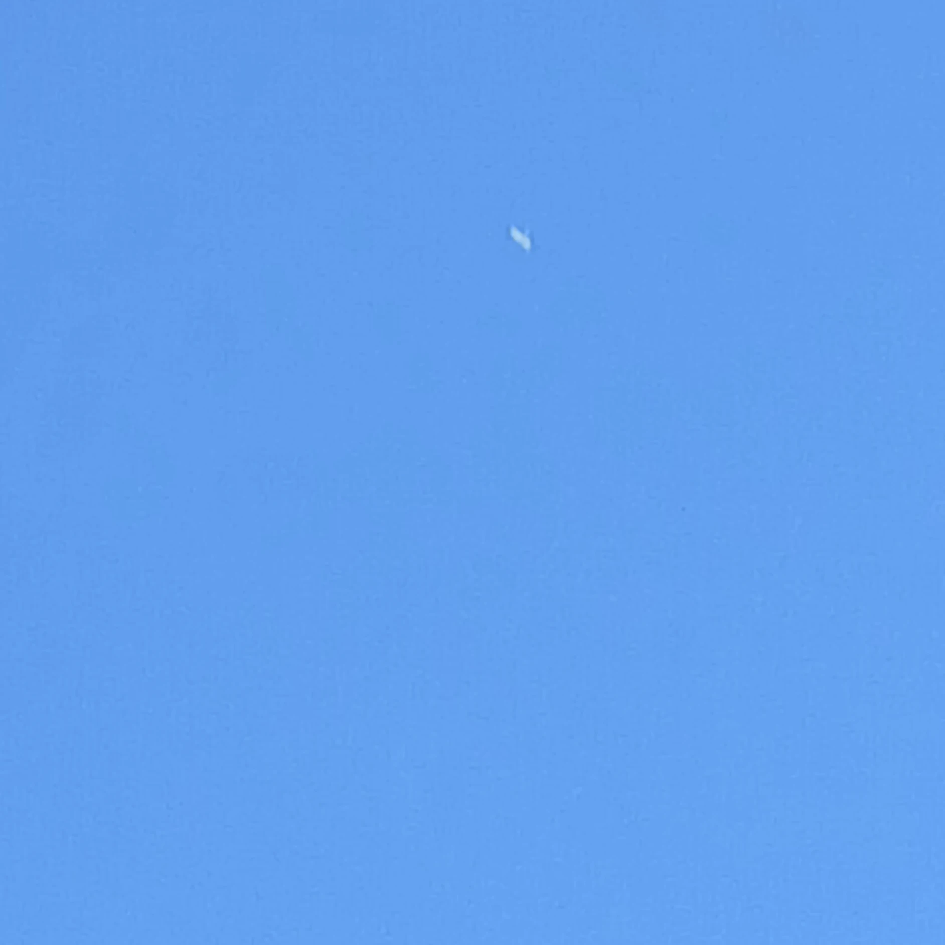 권용진