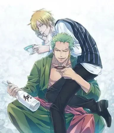 Profile image of Zoro x Sanji