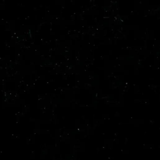 DrearyPasta4173의 김주훈