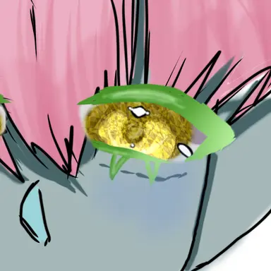 Profile image of 레인