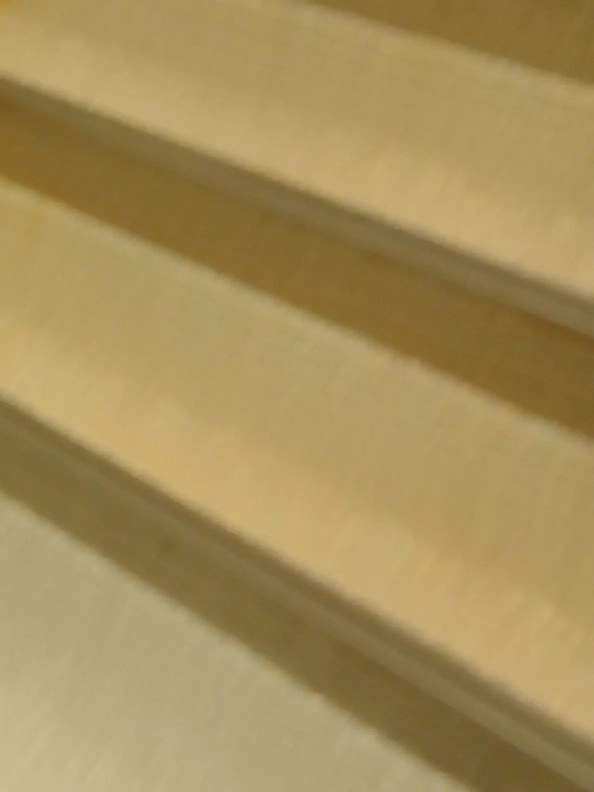 Arashi.의 お兄さん達がついてきます。