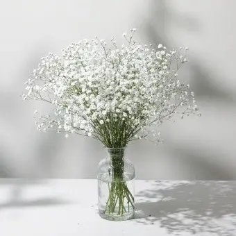 Profile image of 꽥꽥탐험대