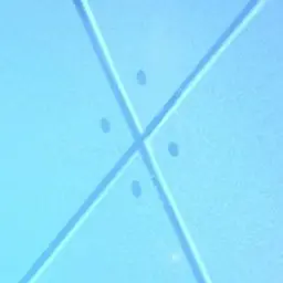 Profile image of 잠뜰