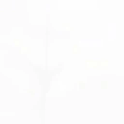 すず