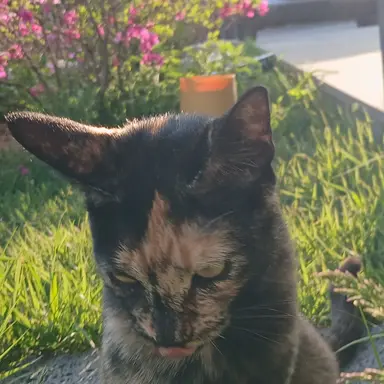 Profile image of 선생님