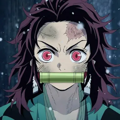 Profile image of Tanjiro Kamado