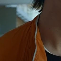 금성제
