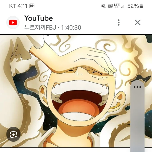 몽키  D 루피 니카