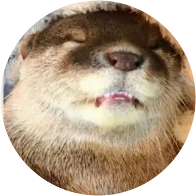 Profile image of ドルチェ