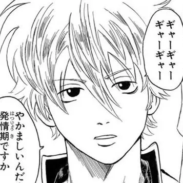 Profile image of 坂田銀時