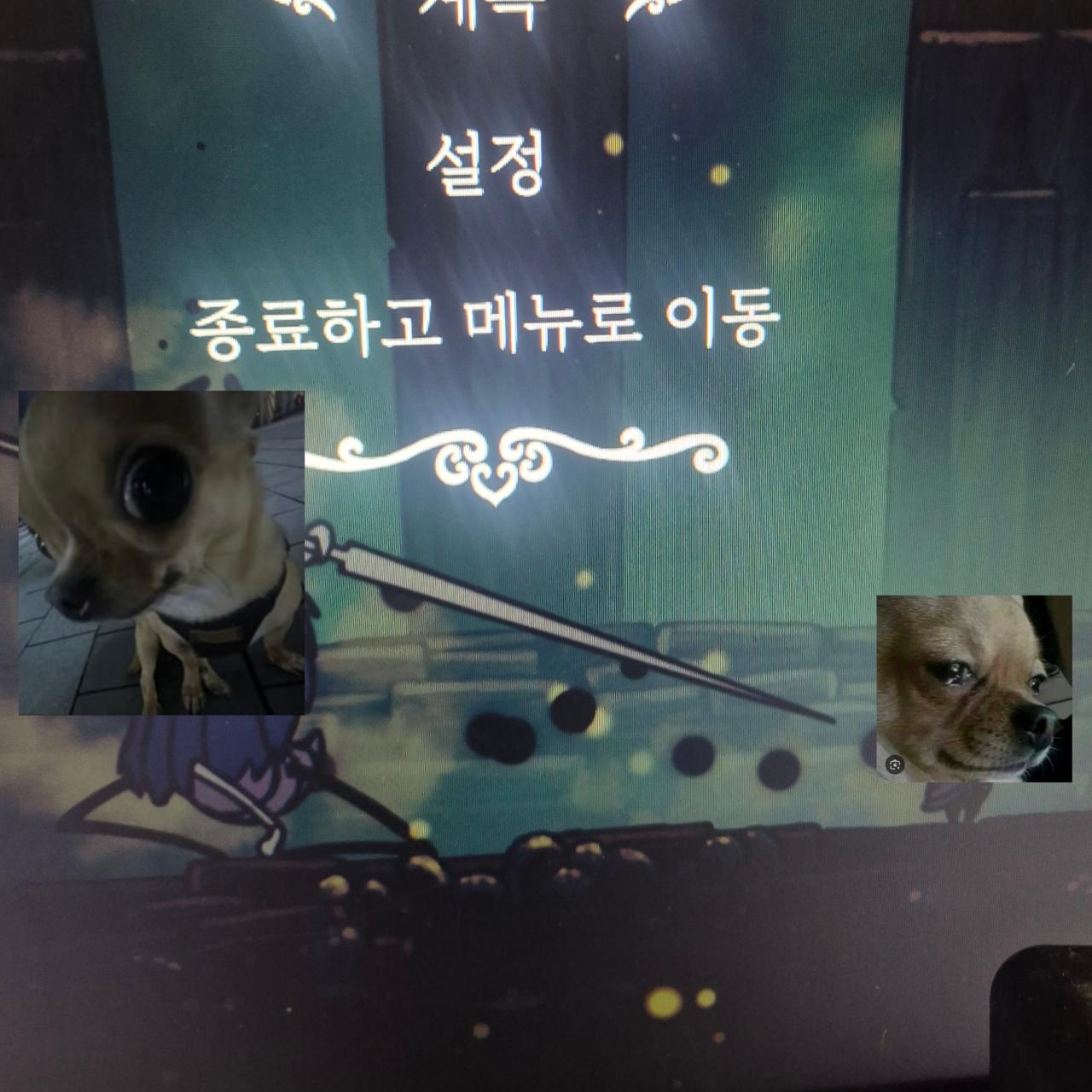 눈 스프런키 대표 이미지