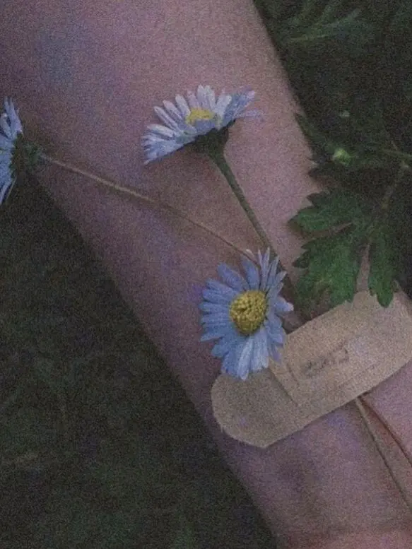 Good_duck의 개인용.(타장)