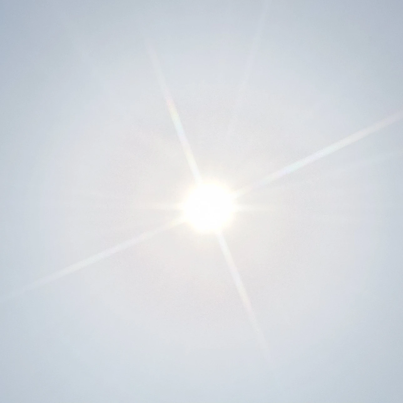 리레볼루션 학교