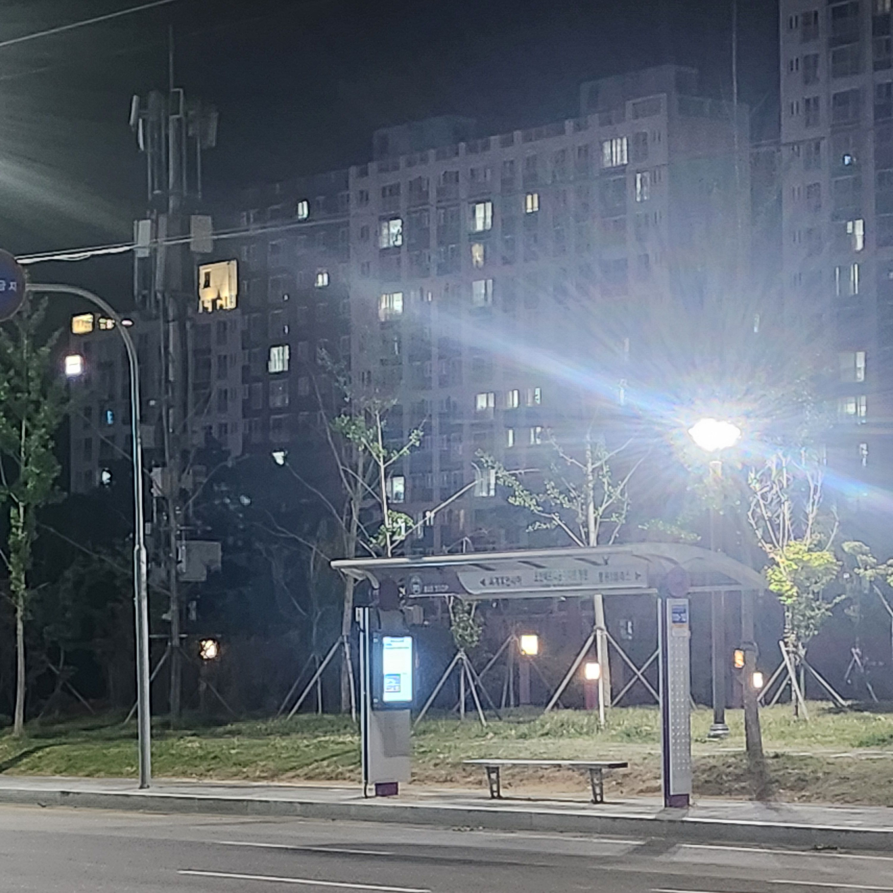 이주빈 대표 이미지