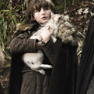 Profile image of Bran Stark