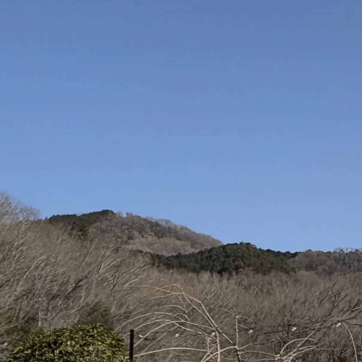 kawainoe의 中野