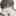 차 우 혁
