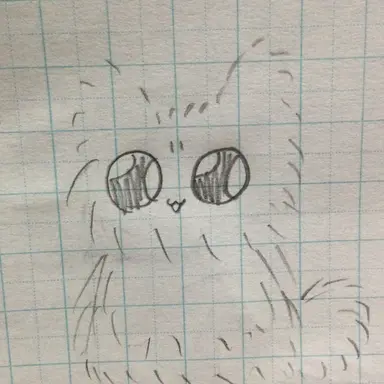 Profile image of ポメ