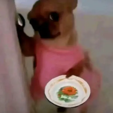 Profile image of 여우