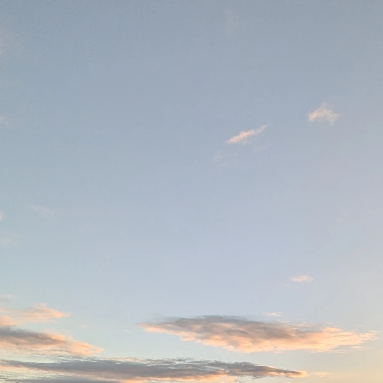 人物