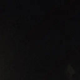 Profile image of 우의정