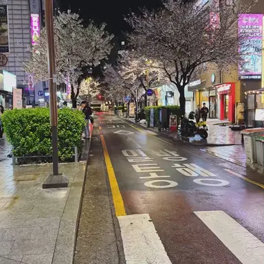Profile image of 김채운